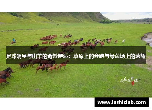 足球明星与山羊的奇妙邂逅:草原上的奔跑与绿茵场上的荣耀 足球明星与山羊的奇妙邂逅:草原上的奔跑与绿茵场上的荣耀