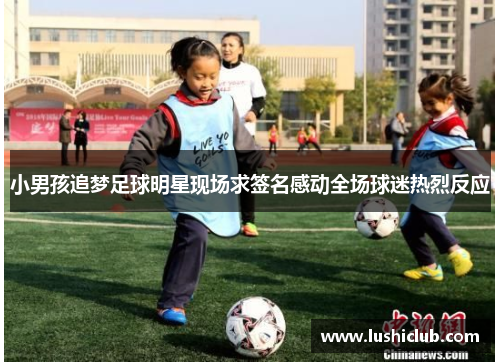 小男孩追梦足球明星现场求签名感动全场球迷热烈反应 小男孩追梦足球明星现场求签名感动全场球迷热烈反应