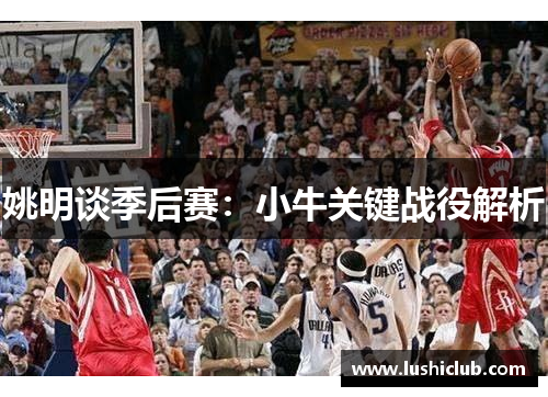 姚明谈季后赛:小牛关键战役解析 姚明谈季后赛:小牛关键战役解析