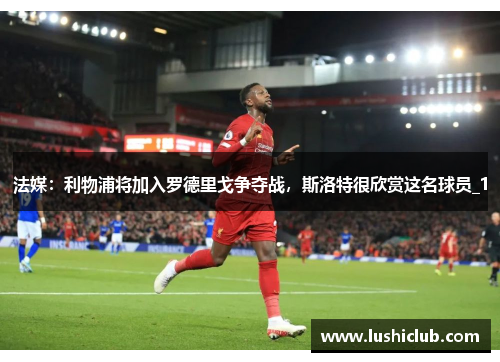 法媒：利物浦将加入罗德里戈争夺战，斯洛特很欣赏这名球员_1
