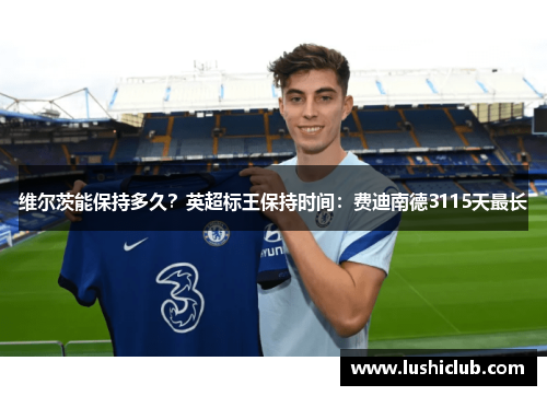维尔茨能保持多久?英超标王保持时间:费迪南德3115天最长 维尔茨能保持多久?英超标王保持时间:费迪南德3115天最长