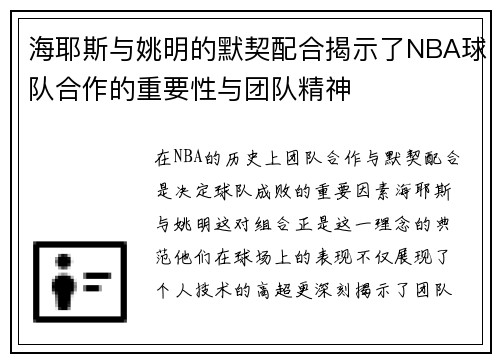海耶斯与姚明的默契配合揭示了NBA球队合作的重要性与团队精神